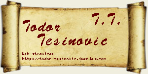 Todor Tešinović vizit kartica